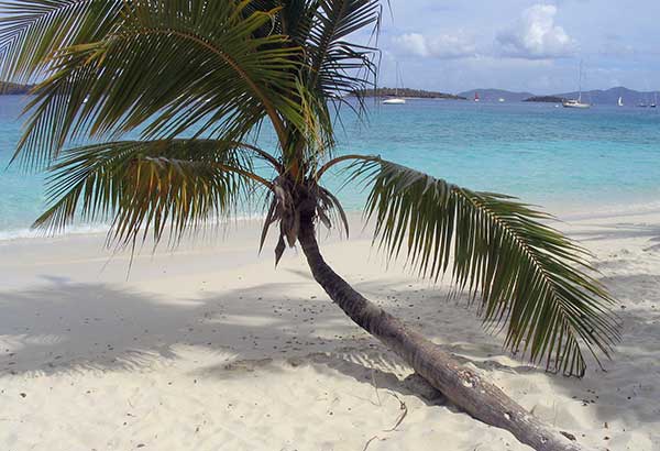 Chiropractic Care for Wellness